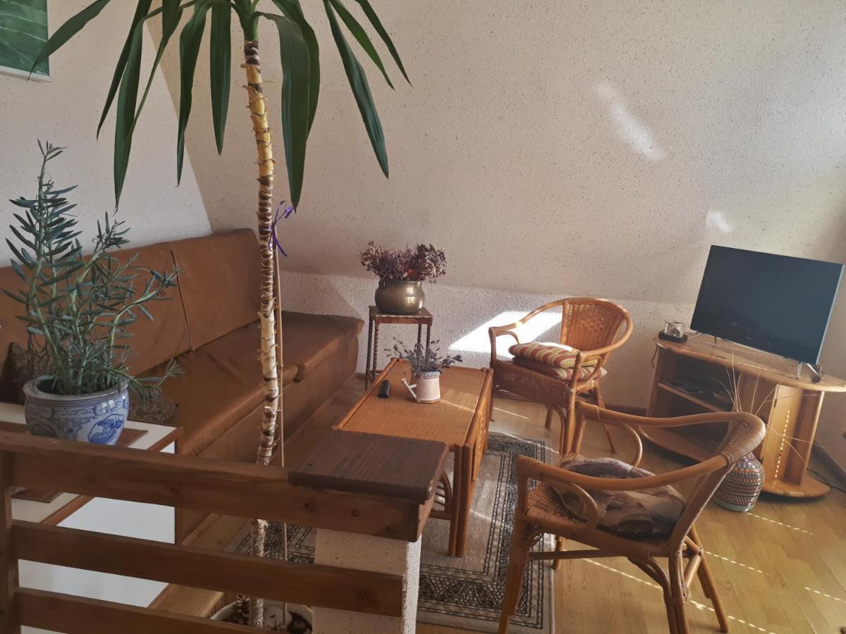 Pokoje Goscinne "Olenka" Miedzyzdroje Extérieur photo